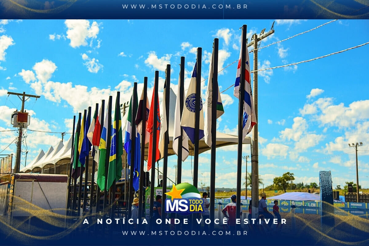 Imagem da Galeria